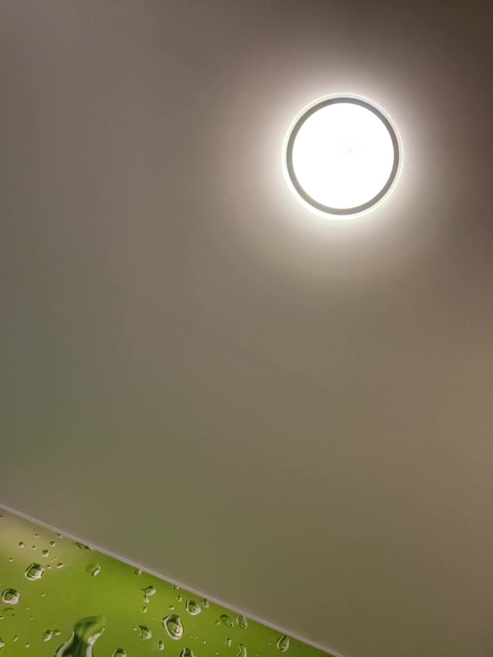 View or download file homely on 2024-10-11 from bongacams