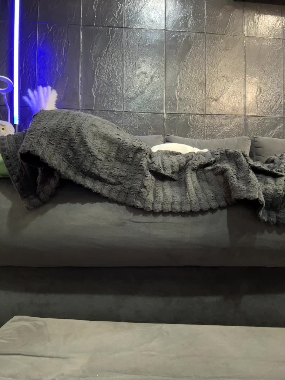 View or download file vero19nika on 2024-10-12 from bongacams