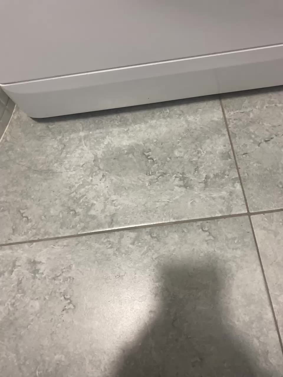 View or download file gummy_bears on 2024-10-14 from bongacams