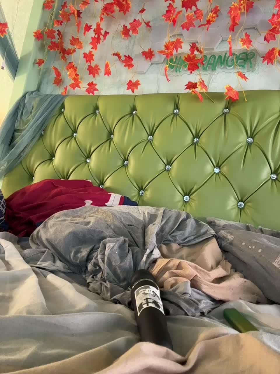 View or download file anitashine on 2024-10-16 from bongacams