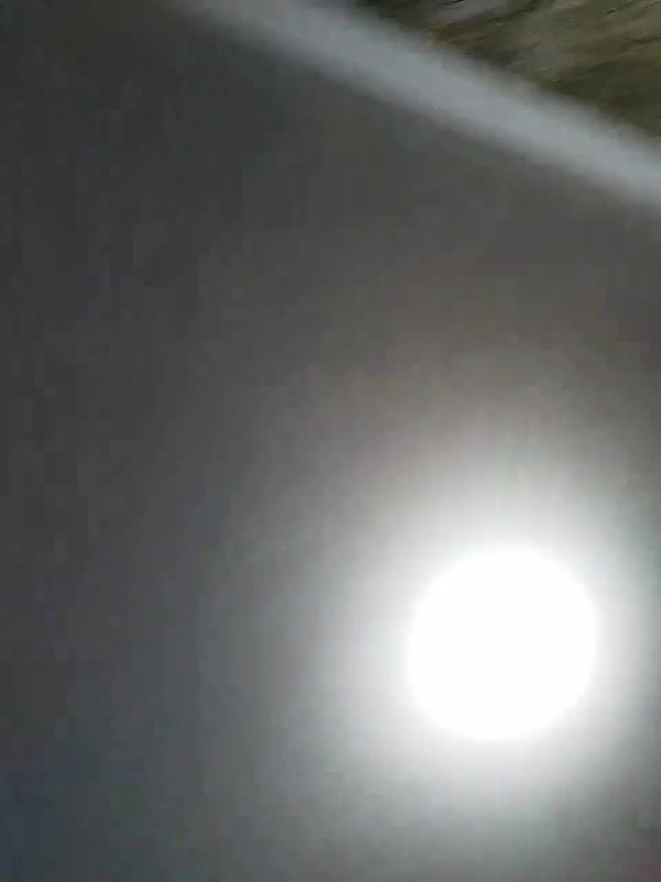 View or download file bella2006 on 2024-10-16 from bongacams