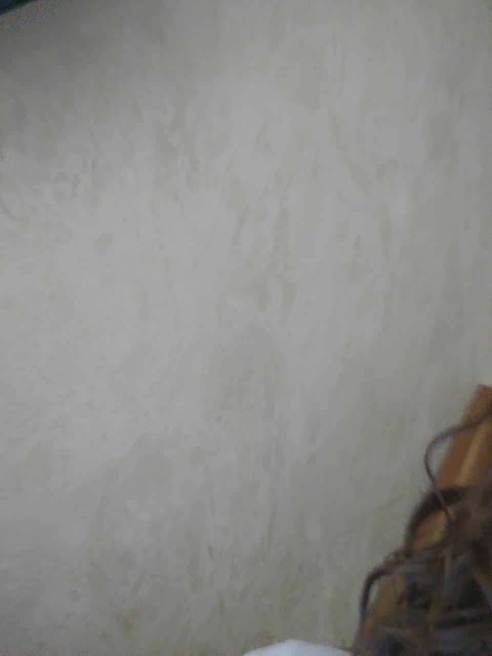 View or download file littledelora on 2024-10-16 from bongacams