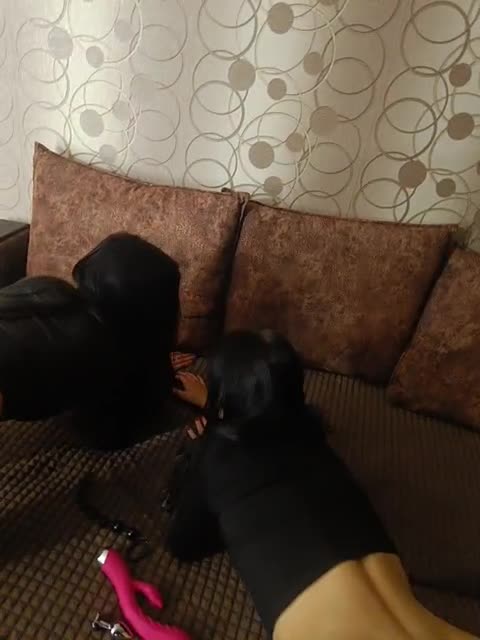 View or download file juliebundyofficial on 2024-10-19 from bongacams