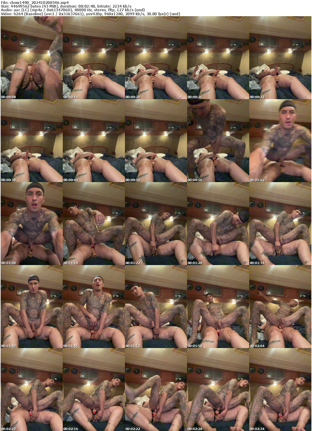 Preview thumb from chow1490 on 2024-10-20 @ bongacams