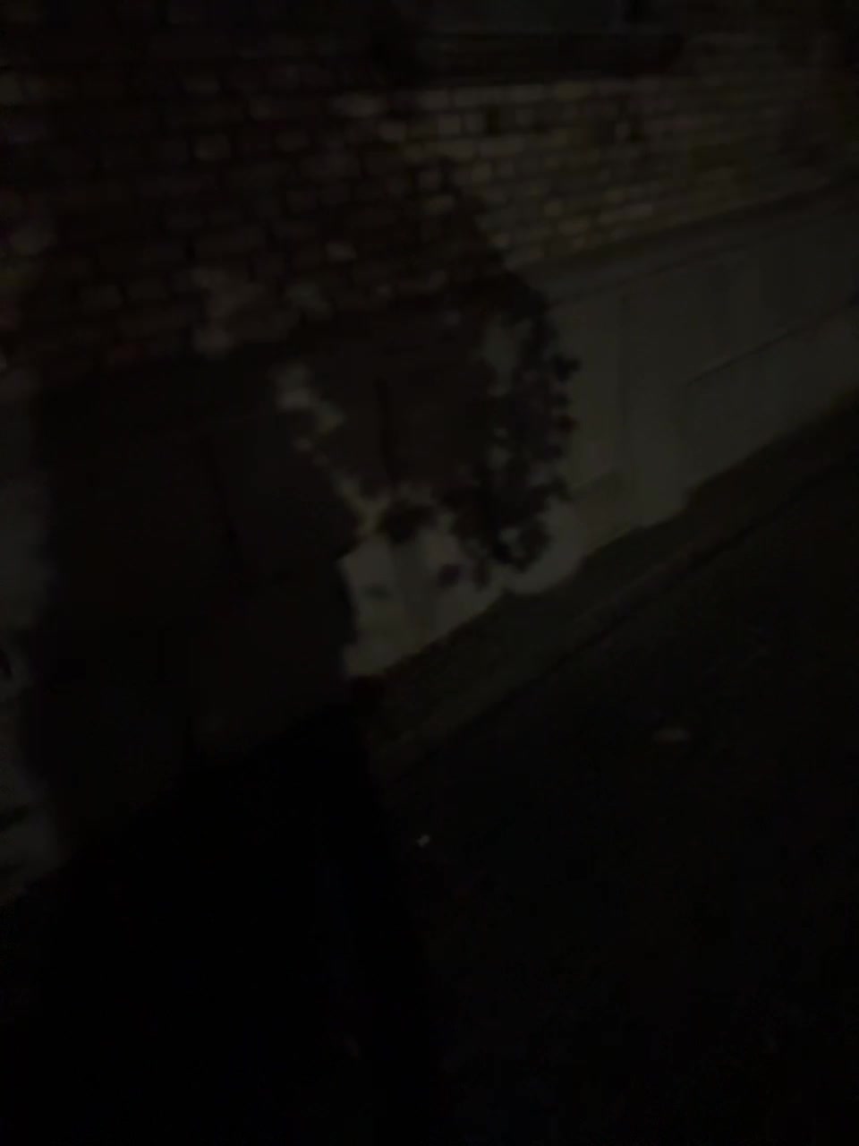 View or download file monikayyy on 2024-10-20 from bongacams