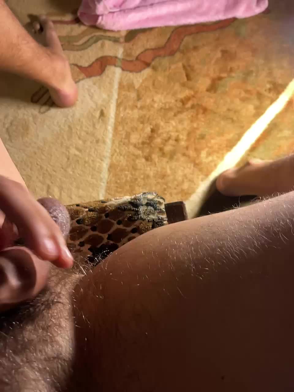 View or download file polyavova1 on 2024-10-20 from bongacams