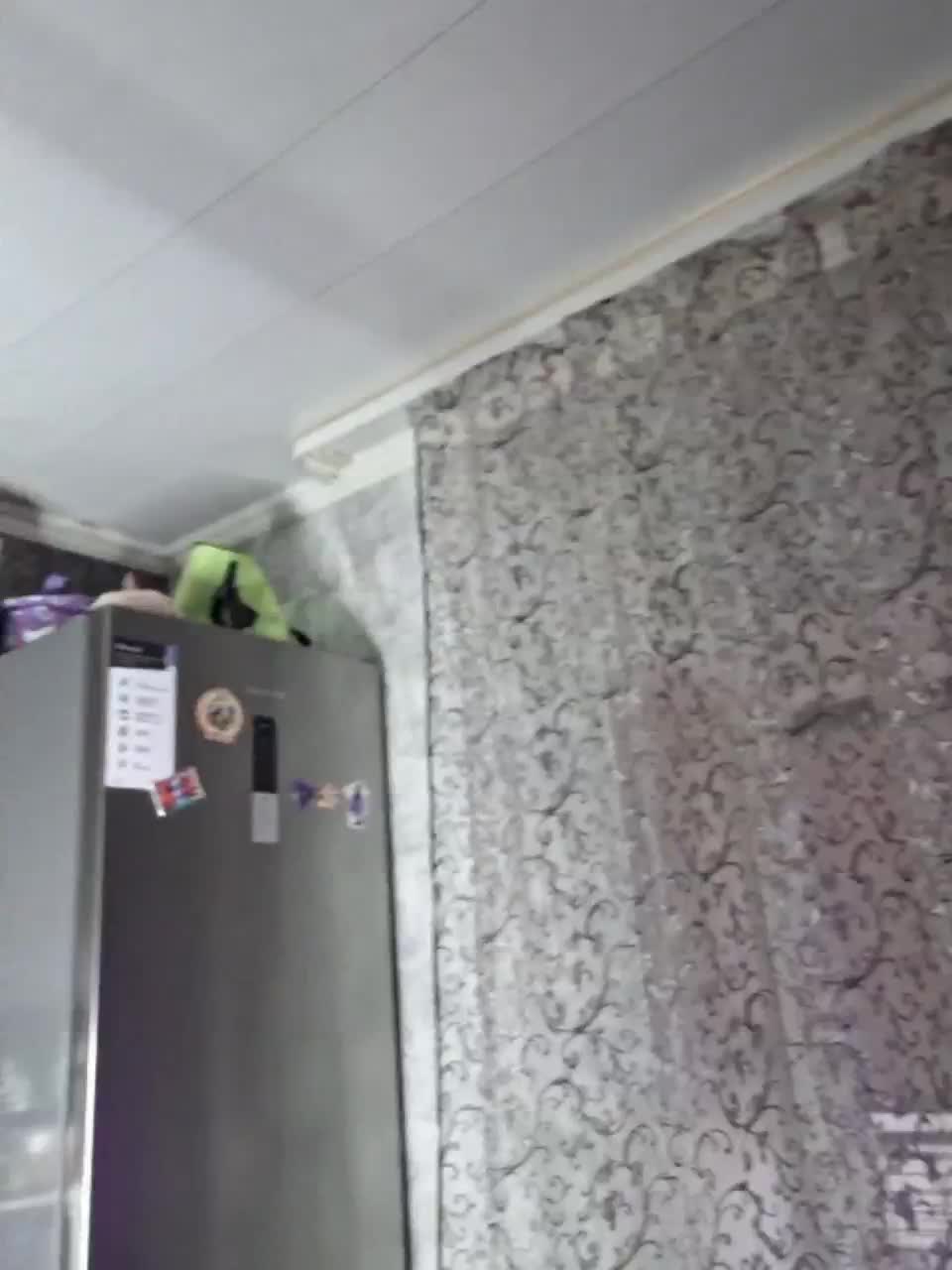 View or download file aureliyxxx on 2024-10-22 from bongacams