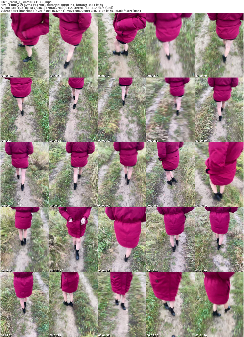 Preview thumb from _breid_1 on 2024-10-24 @ bongacams