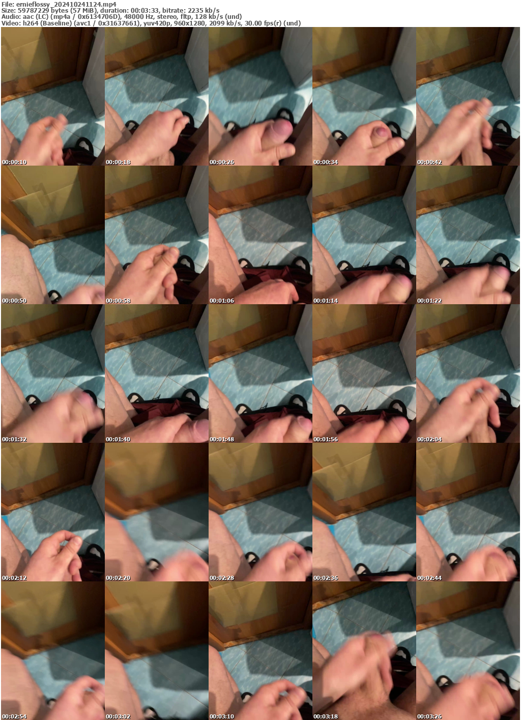 Preview thumb from ernieflossy on 2024-10-24 @ bongacams