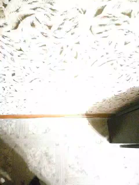 View or download file lyalya52 on 2024-10-24 from bongacams