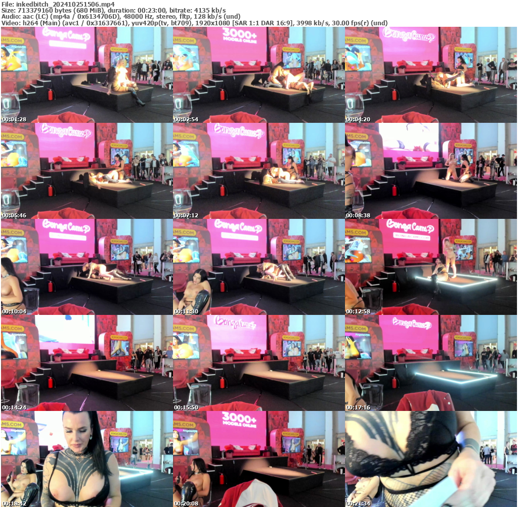 Preview thumb from inkedbitch on 2024-10-25 @ bongacams