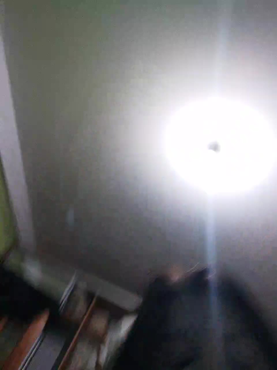 View or download file bella2006 on 2024-10-26 from bongacams