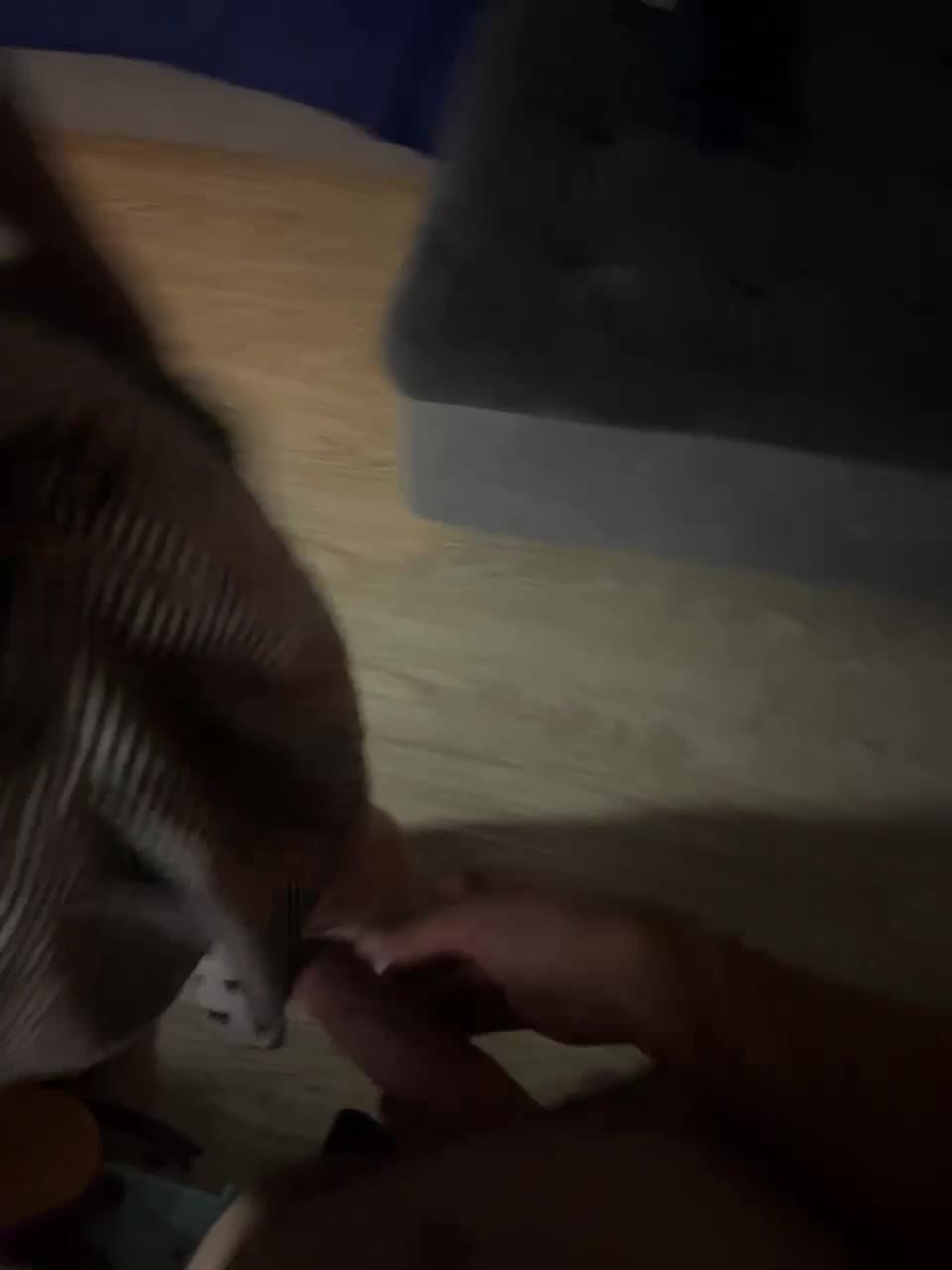 View or download file purple_akella on 2024-10-26 from bongacams