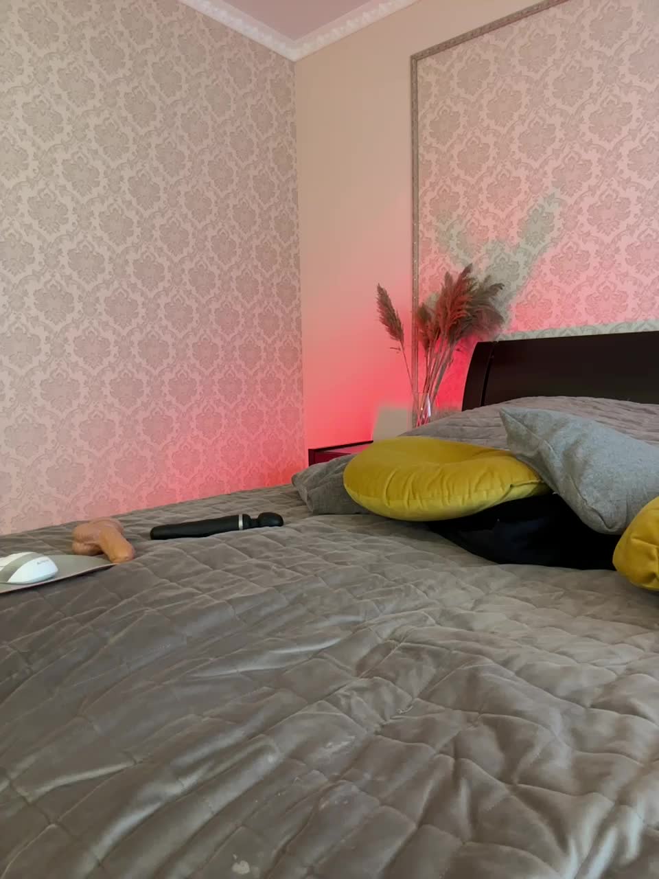 View or download file _vaka_ on 2024-10-27 from bongacams