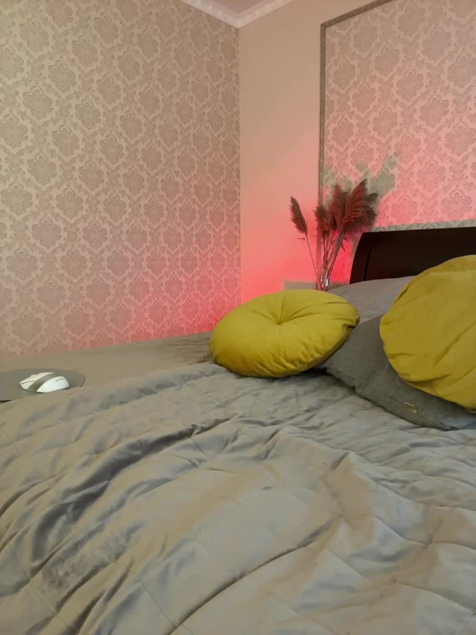 View or download file _vaka_ on 2024-10-28 from bongacams