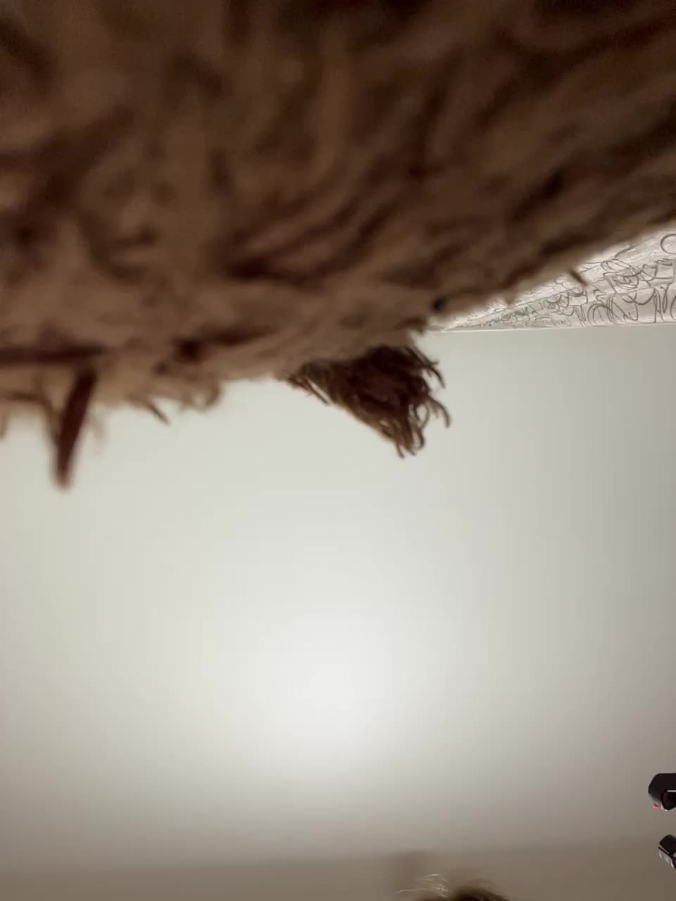 View or download file hellmor on 2024-10-28 from bongacams