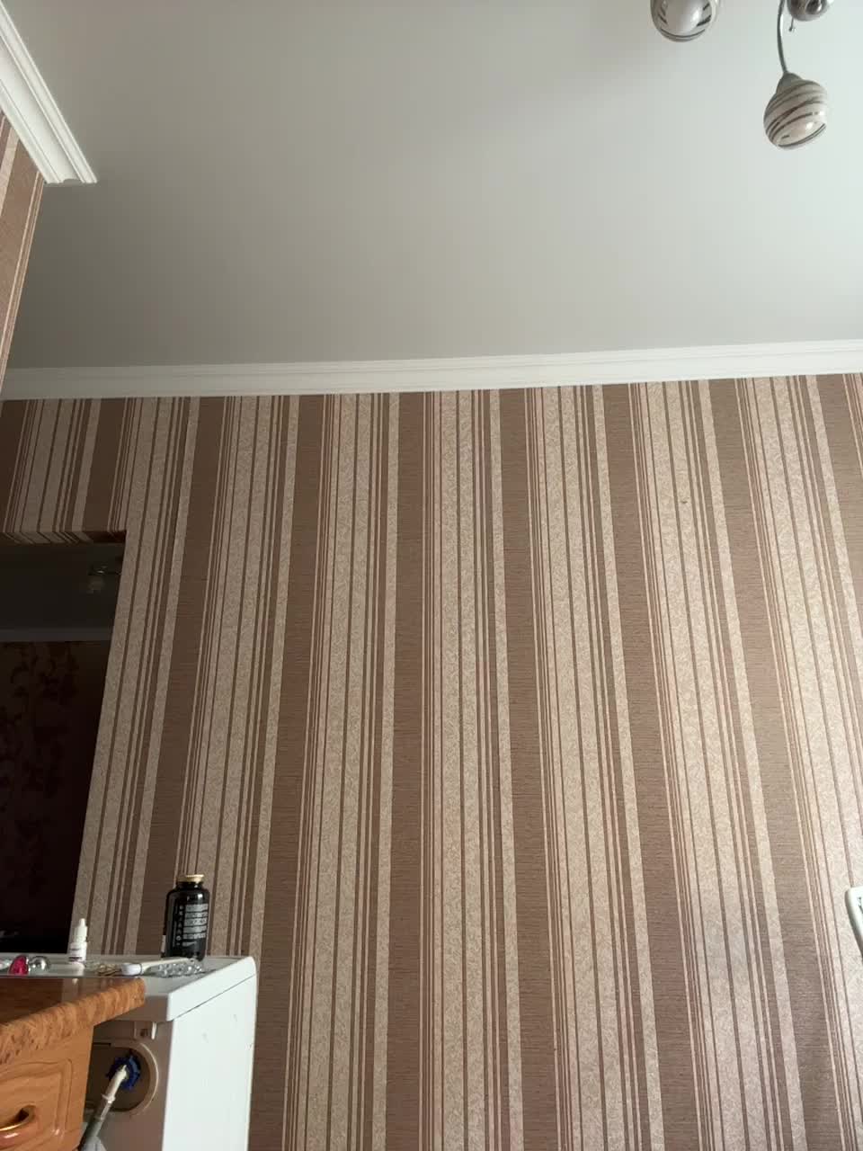 View or download file sssdaryasss on 2024-10-29 from bongacams