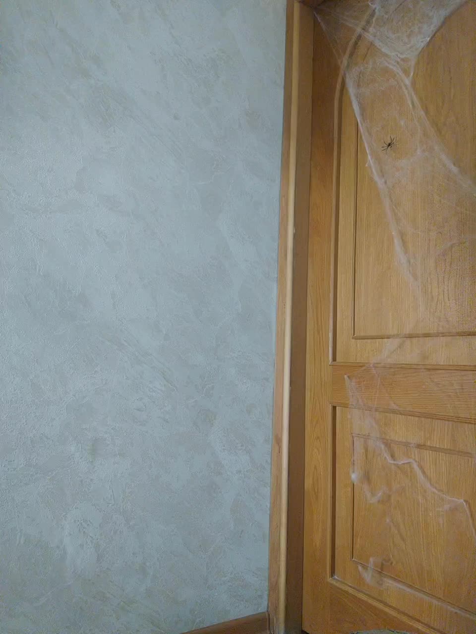 View or download file littledelora on 2024-11-01 from bongacams