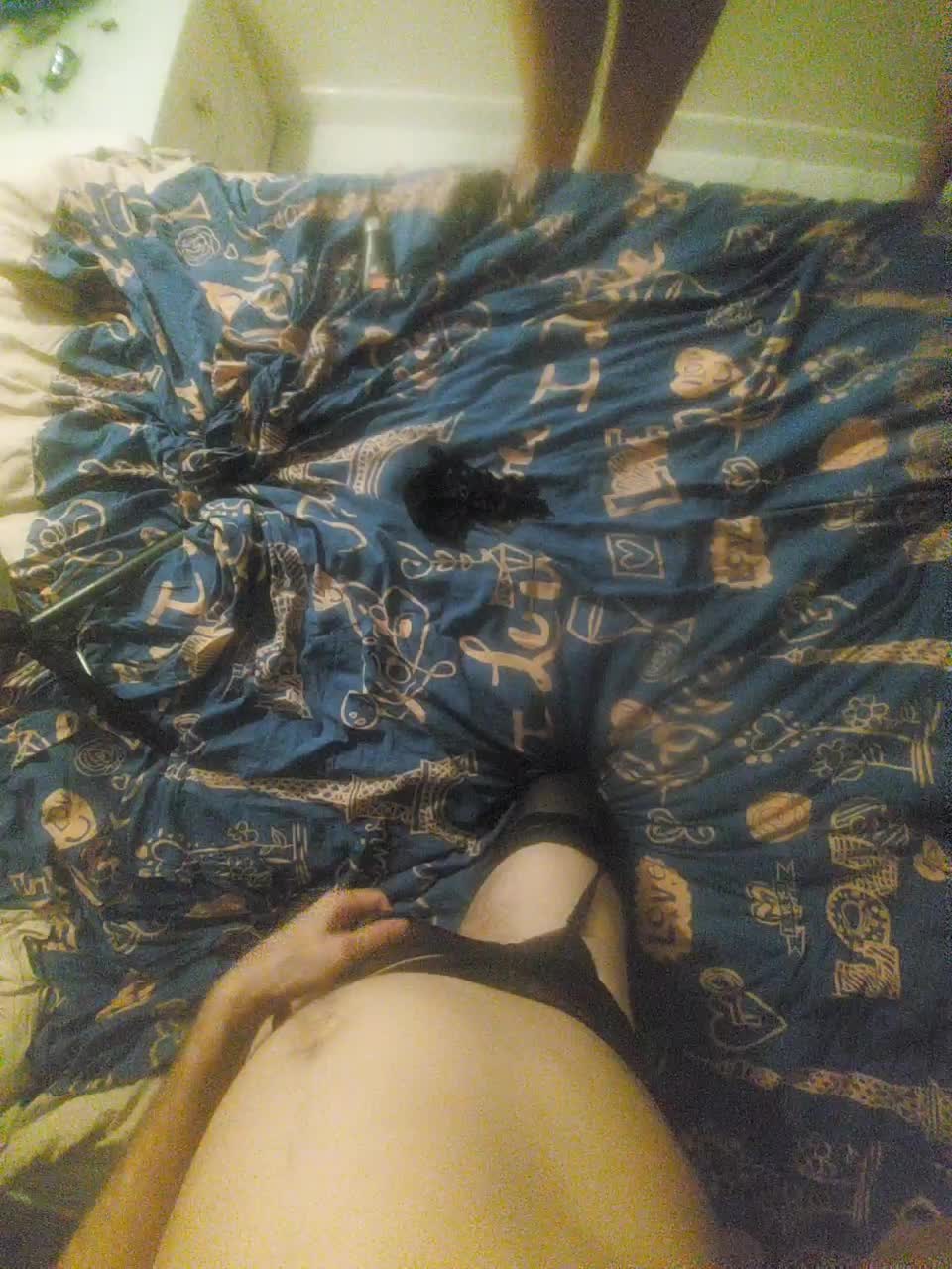 View or download file margarita7777 on 2024-11-02 from bongacams