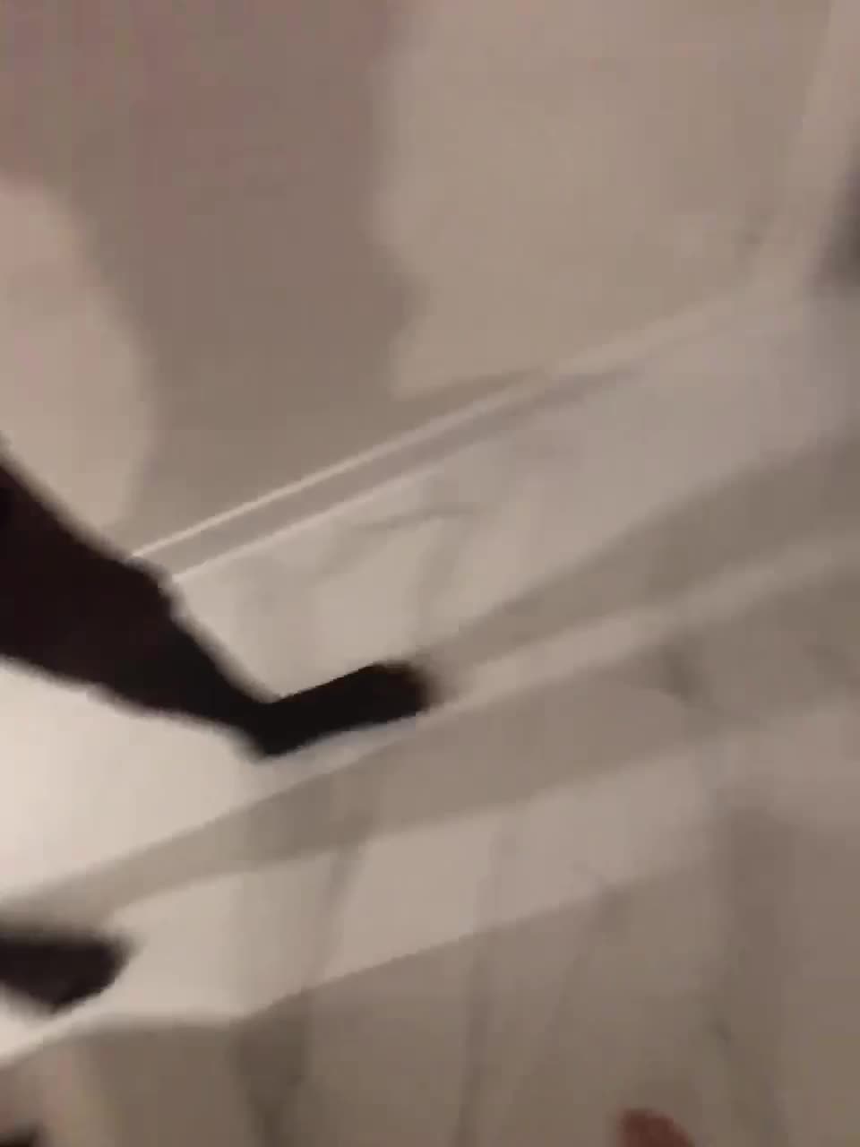 View or download file margarita7777 on 2024-11-02 from bongacams