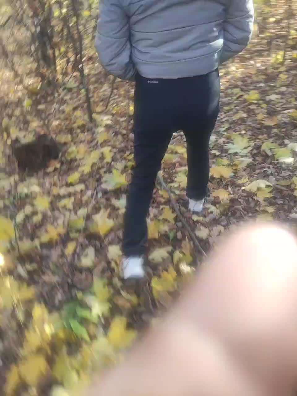 View or download file perepyganue on 2024-11-02 from bongacams