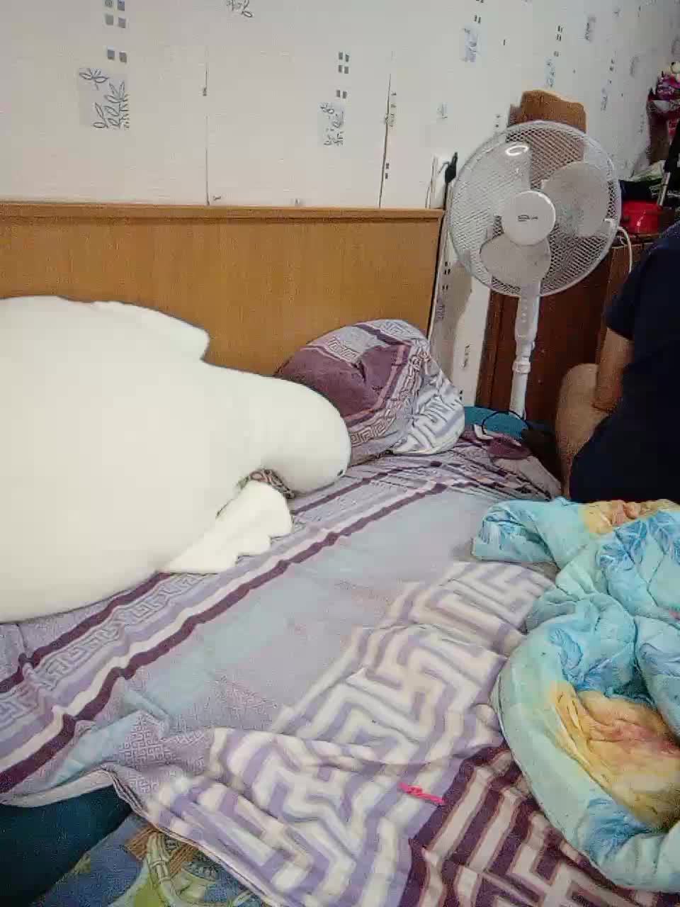 View or download file anna1202 on 2024-11-03 from bongacams