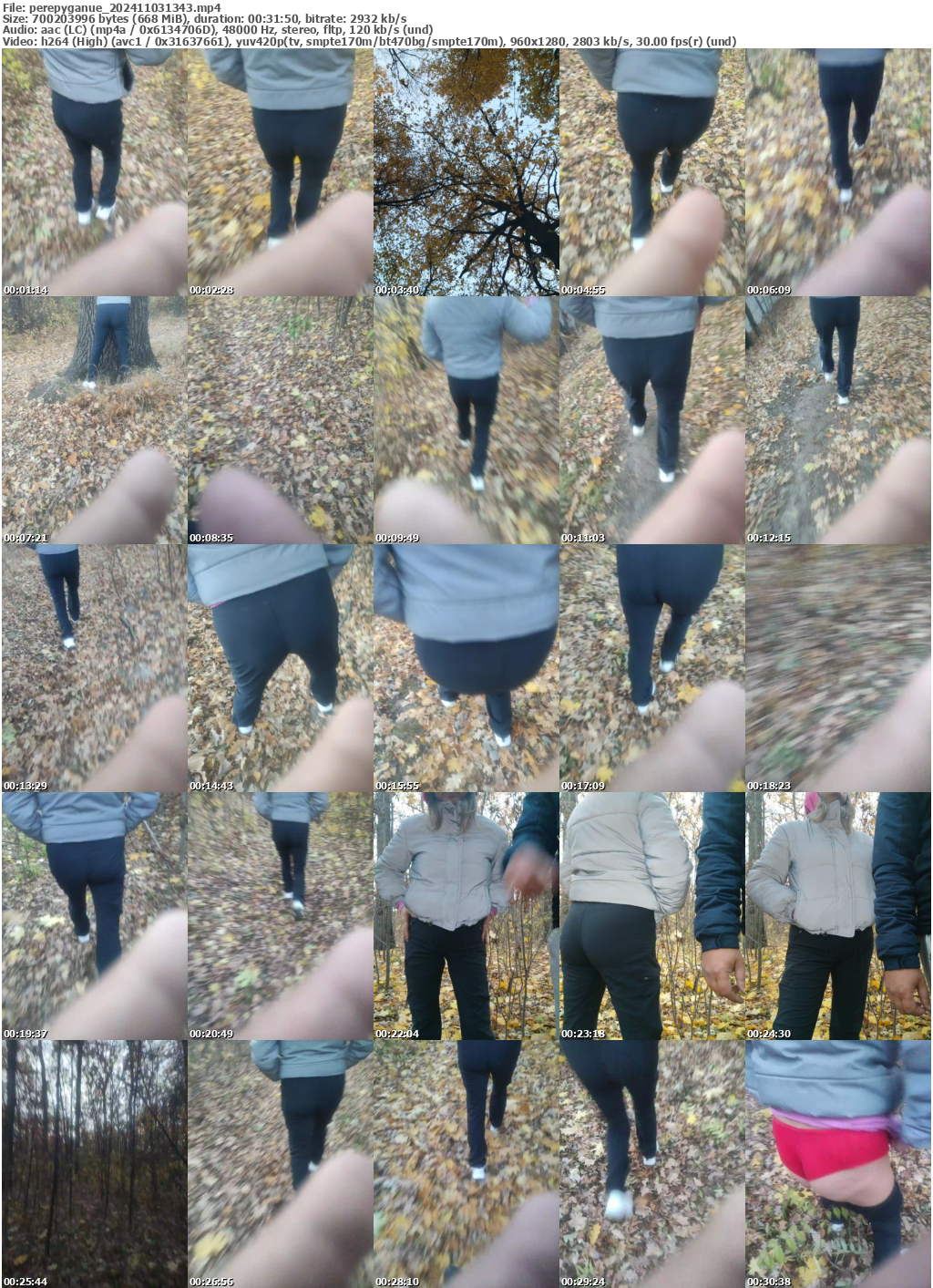 Preview thumb from perepyganue on 2024-11-03 @ bongacams