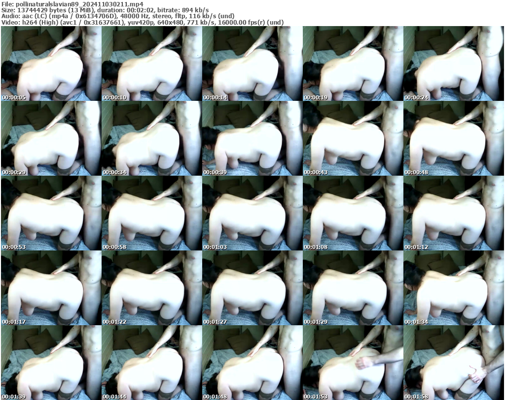 Preview thumb from pollinaturalslavian89 on 2024-11-03 @ bongacams