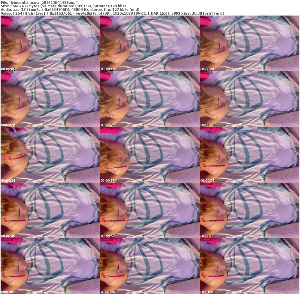 Preview thumb from flyingdutchmana on 2024-11-04 @ bongacams