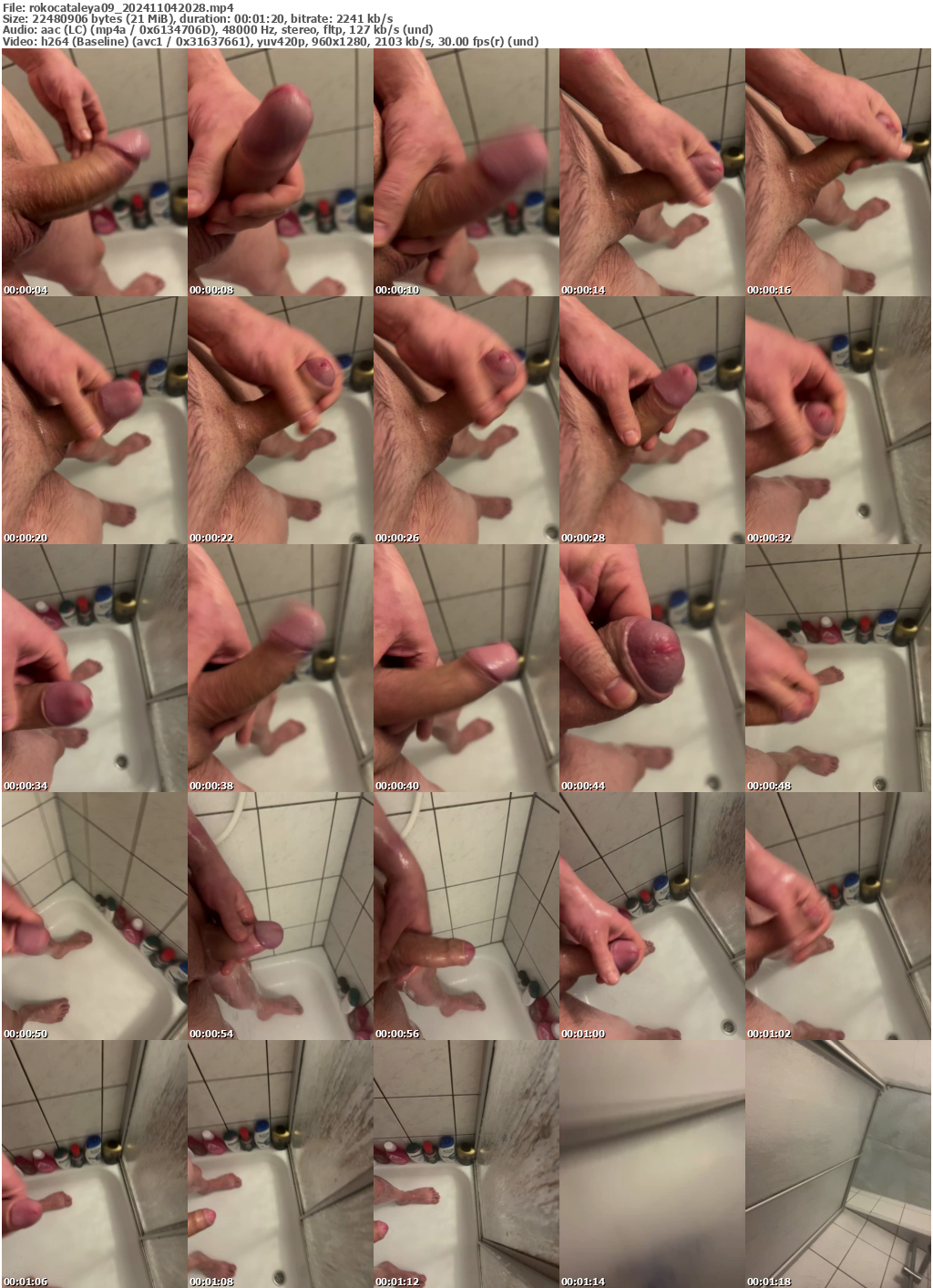 Preview thumb from rokocataleya09 on 2024-11-04 @ bongacams