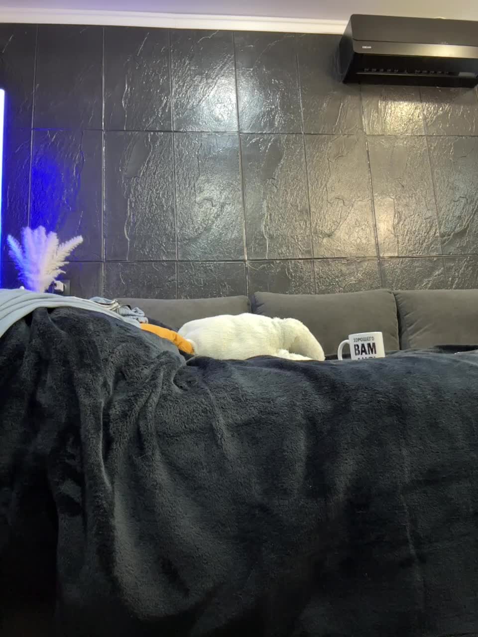 View or download file vero19nika on 2024-11-04 from bongacams