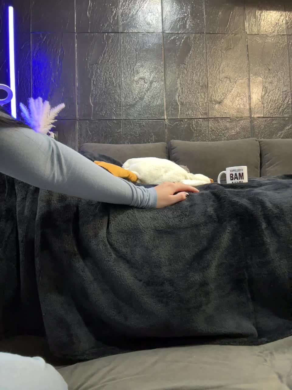 View or download file vero19nika on 2024-11-04 from bongacams