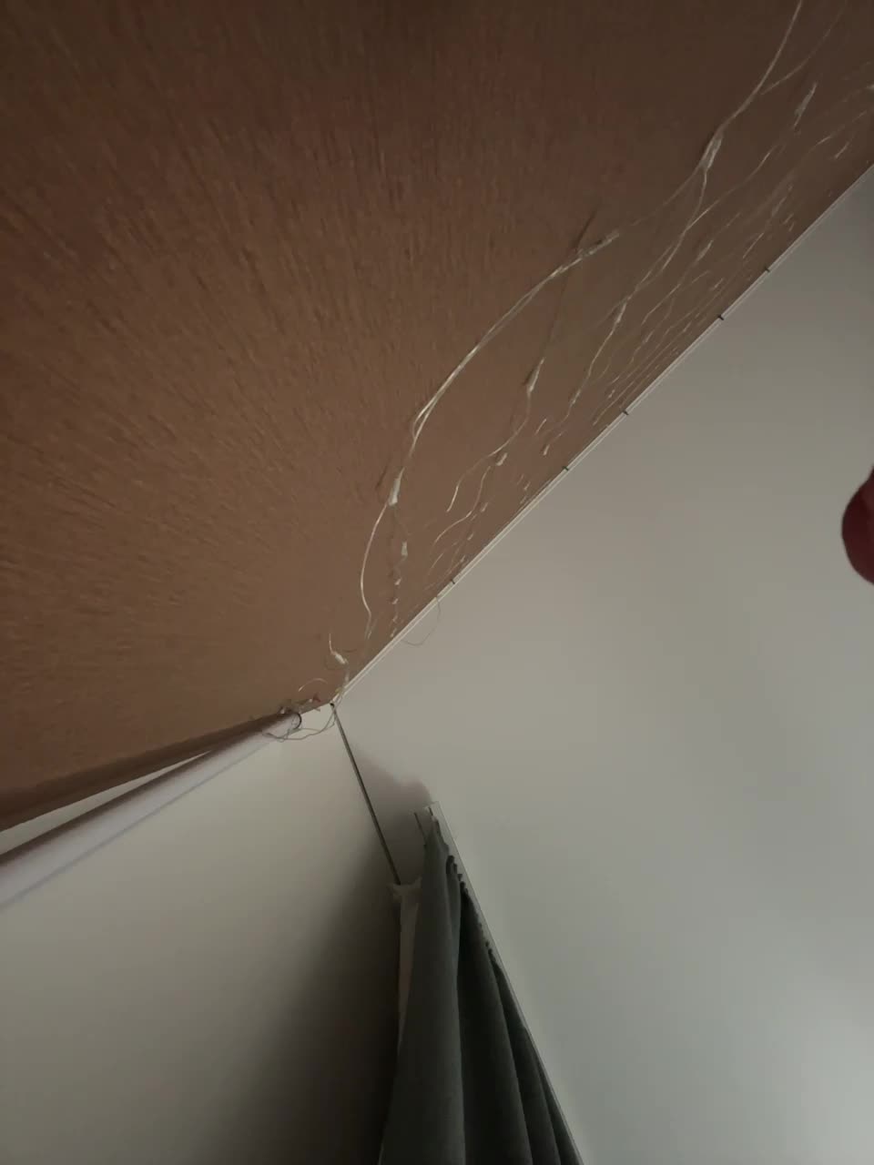 View or download file vagnermur on 2024-11-06 from bongacams