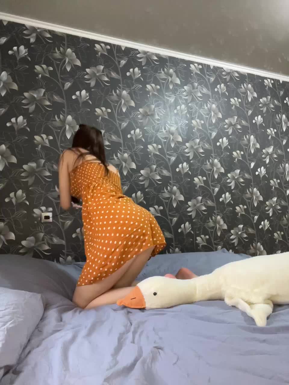 View or download file olivkavif on 2024-11-07 from bongacams