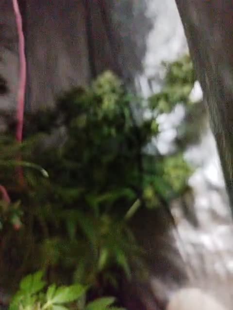 View or download file johnyfenomet2 on 2024-11-09 from bongacams