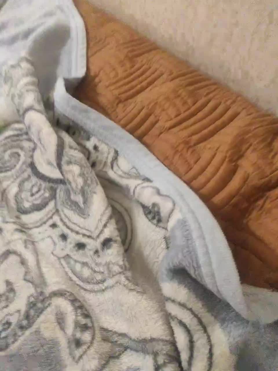 View or download file moy_moya on 2024-11-09 from bongacams