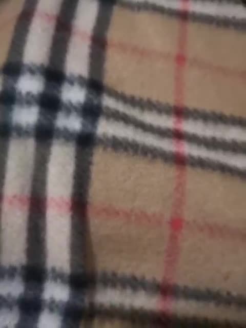 View or download file twobitrim on 2024-11-09 from bongacams