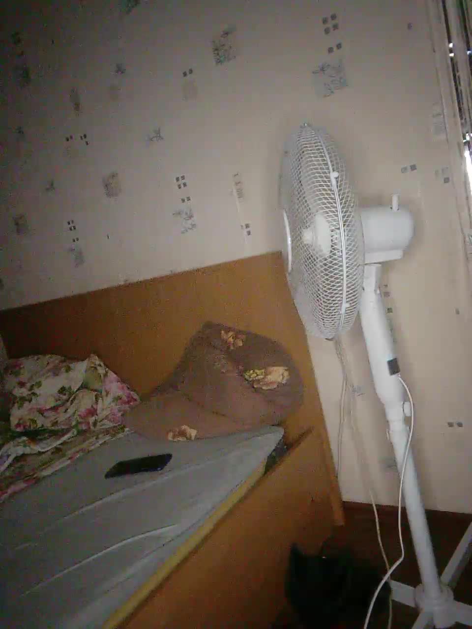 View or download file anna1202 on 2024-11-10 from bongacams