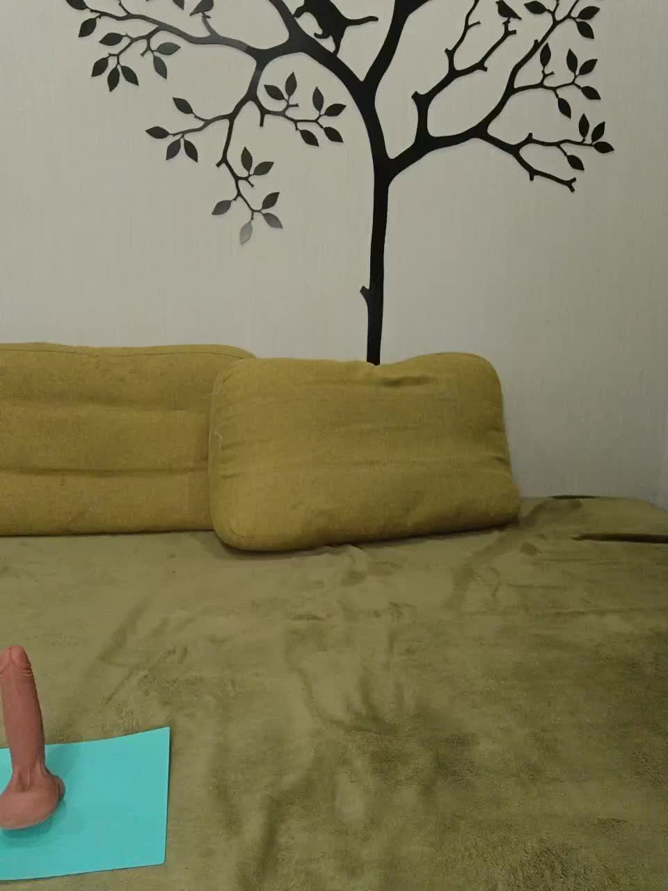 View or download file failure22 on 2024-11-11 from bongacams