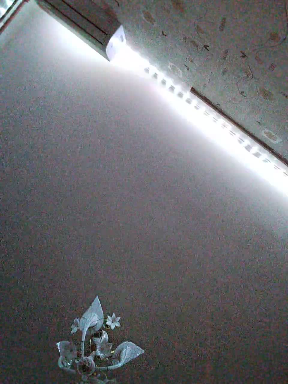 View or download file kittycolorfull on 2024-11-11 from bongacams