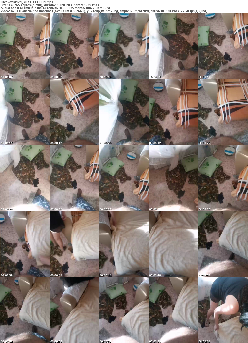 Preview thumb from kotiki474 on 2024-11-11 @ bongacams