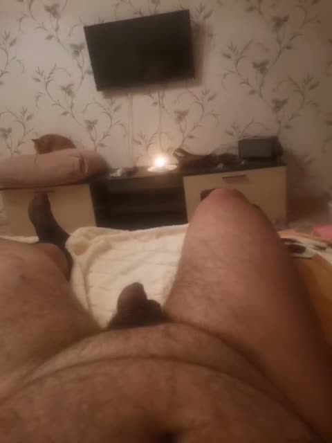 View or download file kotiki474 on 2024-11-11 from bongacams