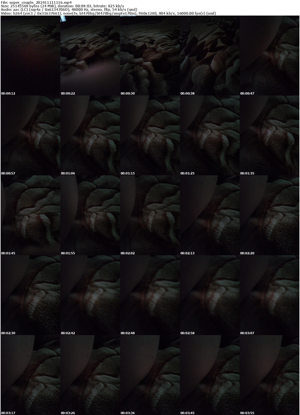 Preview thumb from super_couple on 2024-11-11 @ bongacams