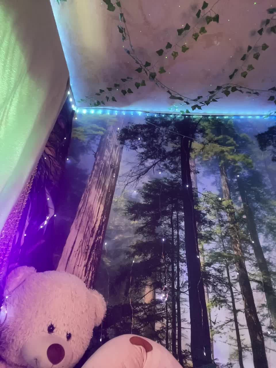 View or download file _summer_ on 2024-11-12 from bongacams