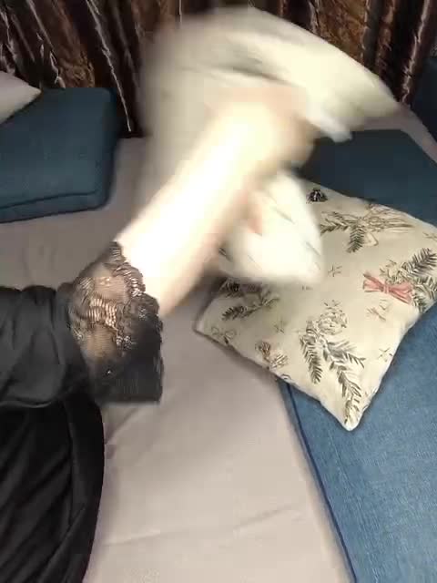 View or download file simonahub on 2024-11-12 from bongacams