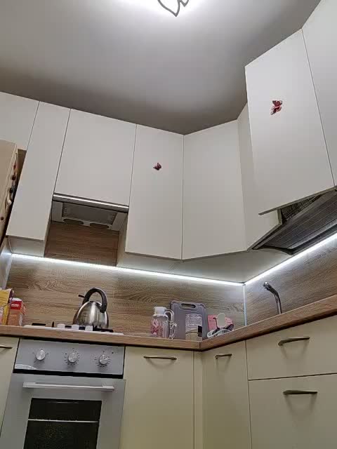 View or download file alinka1979 on 2024-11-14 from bongacams