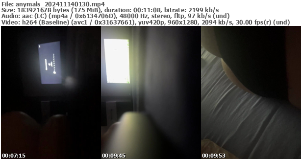 Preview thumb from anymals on 2024-11-14 @ bongacams