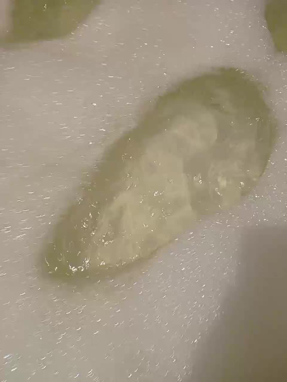 View or download file jadinka333 on 2024-11-14 from bongacams