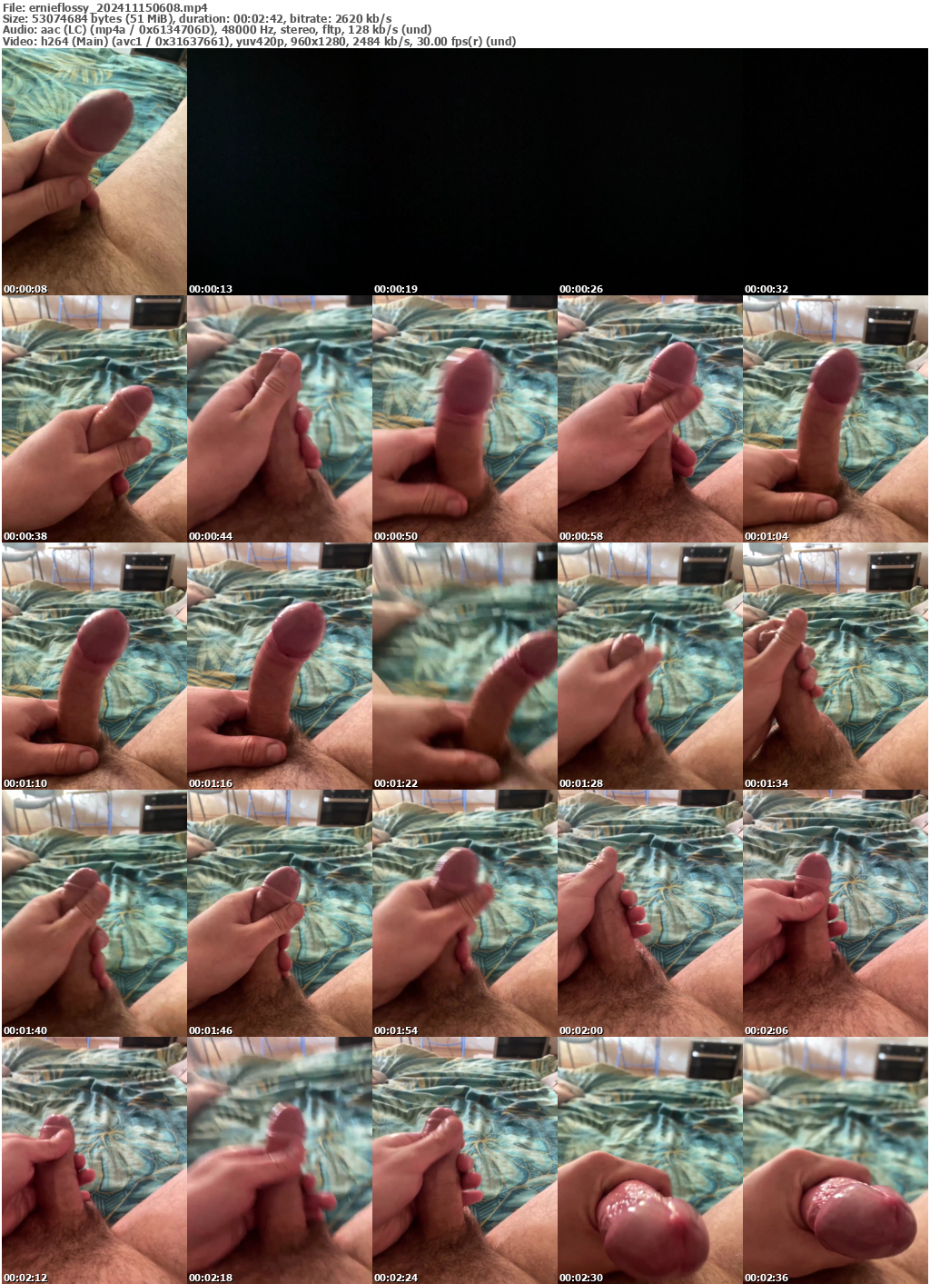 Preview thumb from ernieflossy on 2024-11-15 @ bongacams