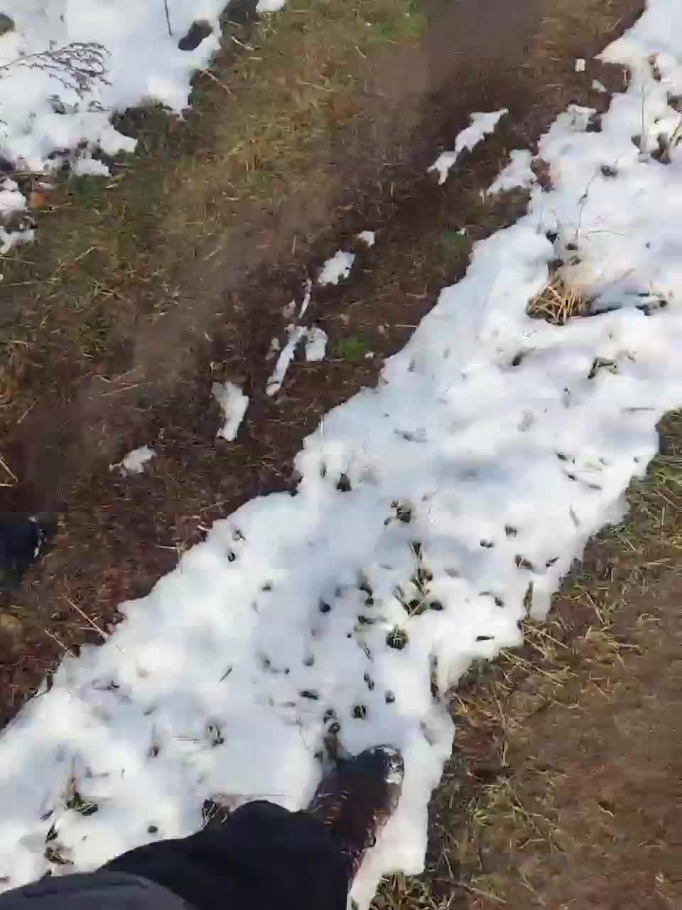 View or download file masya1996 on 2024-11-16 from bongacams